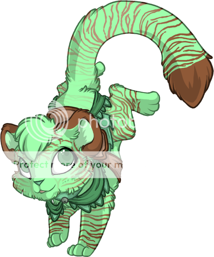 User Image